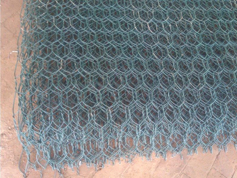 ���B(t��i)�G��W(w��ng)