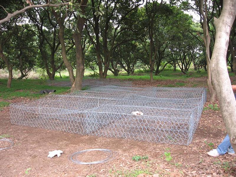 �p�������Z�o�|