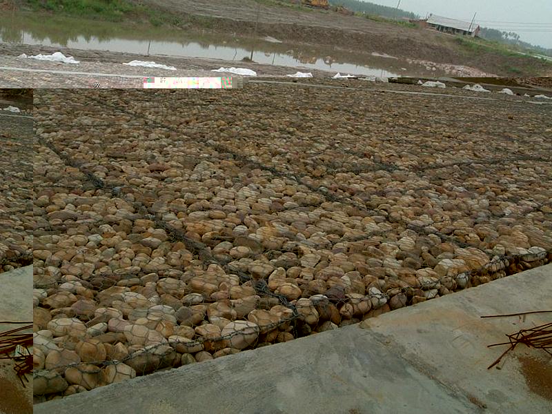 ��\���Z�o�|