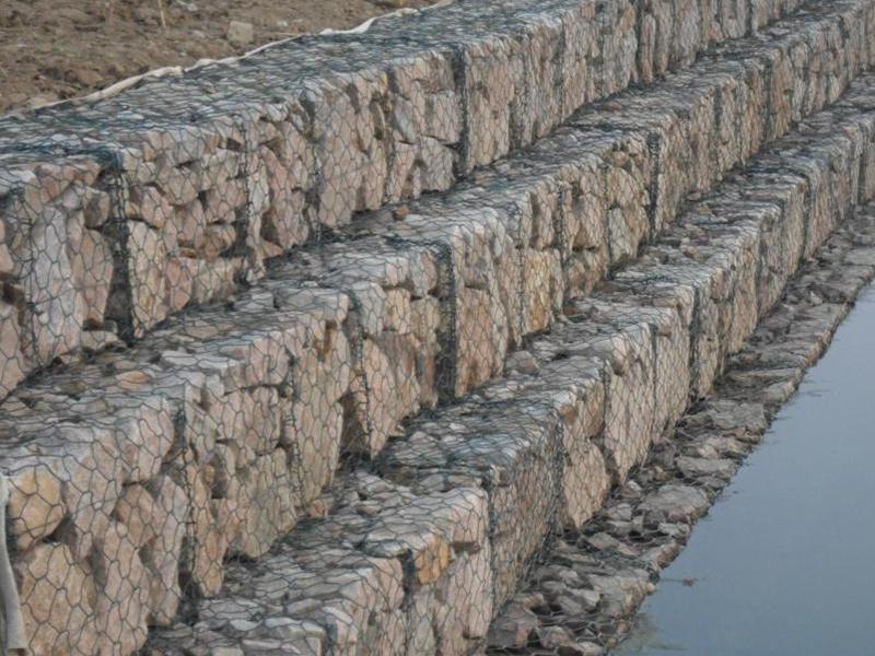 ���B(t��i)���e�W(w��ng)