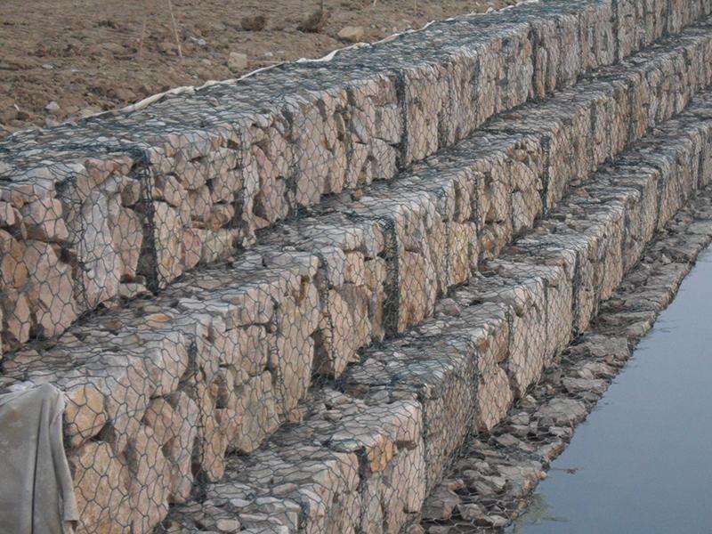 ��Ѵ���e�W