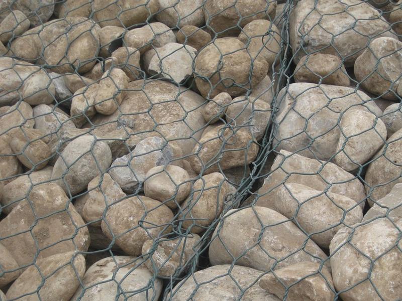 �ӵ����e�W