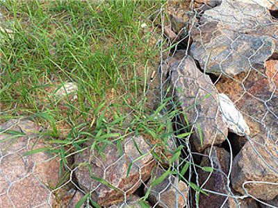 ��÷ˮ��(k��)��(y��ng)�����؏S���U�zʯ�\